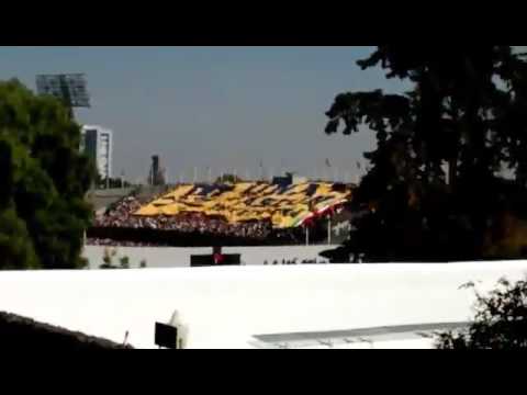 "LA REBEL EN LOS CUARTOS DE FINAL VS VERACRUZ 2015" Barra: La Rebel &bull; Club: Pumas