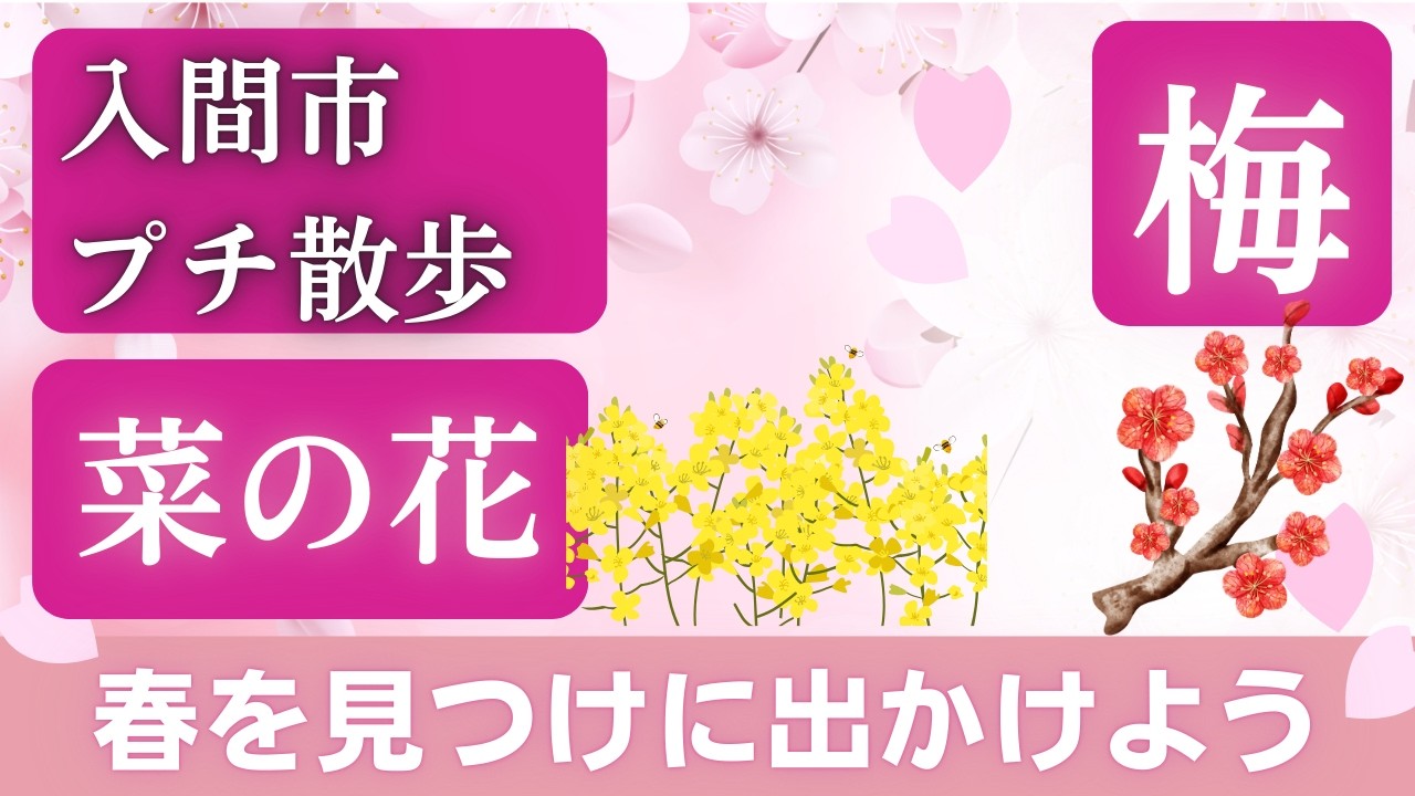 入間市プチ散歩・菜の花・梅の花　アラ還夫婦ぶらーり旅　25