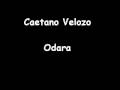 Caetano Velozo - Odara