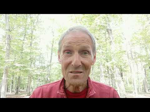 Über die Geduld - Rainer Maria Rilke (1875 - 1926)