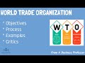 What Is WTO From A Business Professor