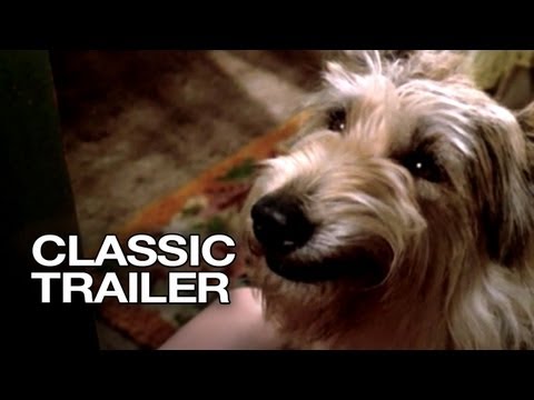 Because of Winn-Dixie (2005) Official Trailer #1 - Jeff Daniels Movie HD