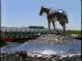 1998 Open To The 130th Belmont Stakes