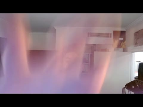 Siberian Mouse  2016 Photos.mp4 ▶1:20