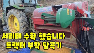 서리태 청자5호 수확 검은콩 트랙터 부착 탈곡기로