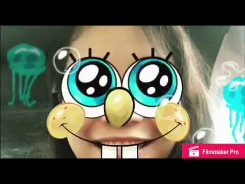 Sponge | Happy 22 🌻