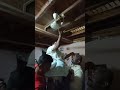 Laddu Mutya Song Laddu Muthya Song Laddumuthya Laddumutya Instagram