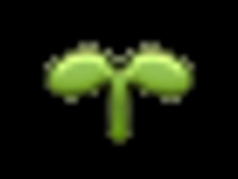 Sprouts guide to starting FFXIV