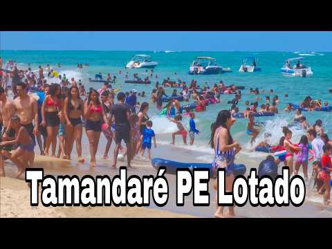 Tamandaré Pernambuco Praias Lotadas 06 De Setembro De 2026 Feriadão Com Muita Gente