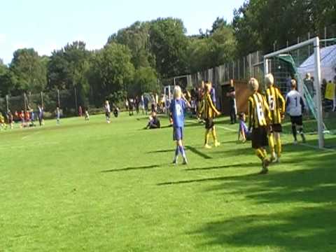 Asarum P98 Lag 2 - Växjö BK