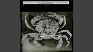 And It Fought to Escape (Lessons Remix)