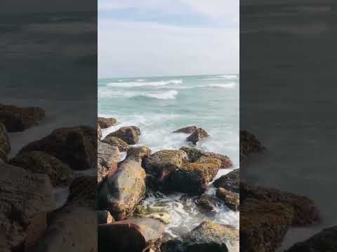 Amazing beach view 😇🌊 🌴 #beach #afternoon #shorts