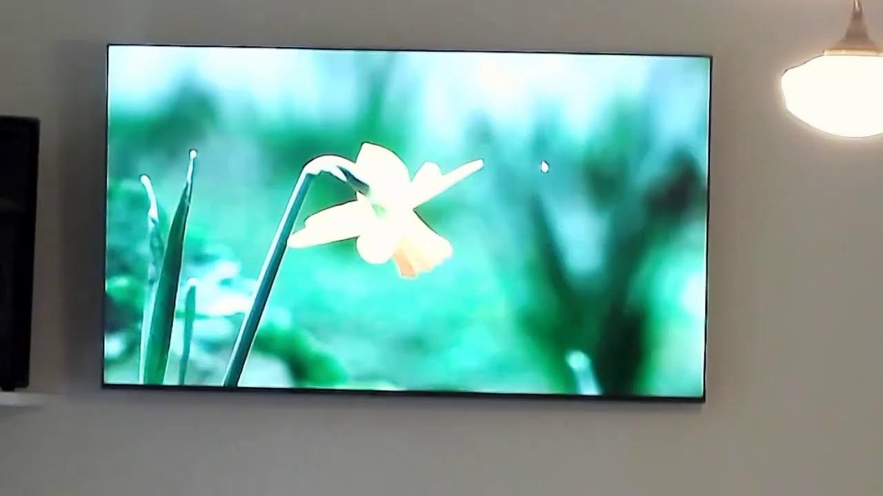 GCBC Morning Worship 4/19/2026