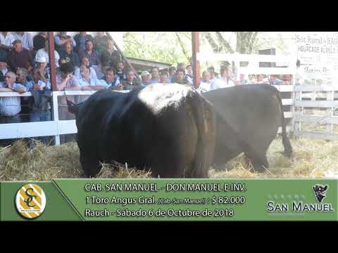 06-10-18 Venta de Toros Angus Grales. - Cab. San Manuel - Don Manuel e invitados - Rauch