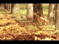 Лариса Мондрус - Листья летят 
