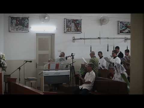 Graduale : Liberasti nos, Domine (Dominica VI Quae Superfuit Post Epiphaniam III Novembris )