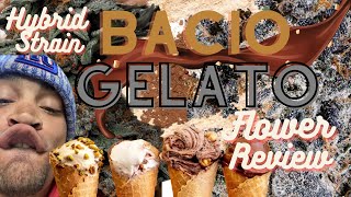 Exploring Bacio Gelato: A Flavorful Journey Into The World Of Cannabis Strains