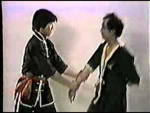Wing Tsun (Chun)   Leung Ting   Authentic Wing Tsun 2