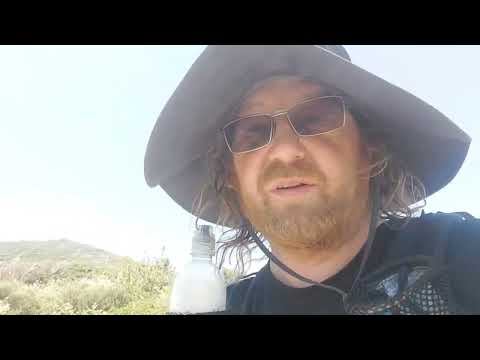 Day 39.  Dislocated Ankles and bee stings