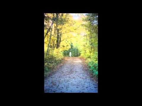 Nightfall (Sara Teasdale) - live session - Karolina Jankowska, Andrzej Rejman, Janusz Smyk