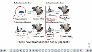 Eğitim Vadisi AYT Felsefe 1.Föy Psikoloji Bilimini Tanıyalım 1 (Psikolojinin Konusu) Konu Anlatım Videoları