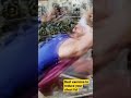 Chest fat try this ll best exercise #chestfat #aroundtheworld #gym #maheshnegi #mnbodytransformer
