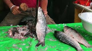 Rohu Fish Cutting 🐟🐟🐟🐟🐠🐠 in Amazing