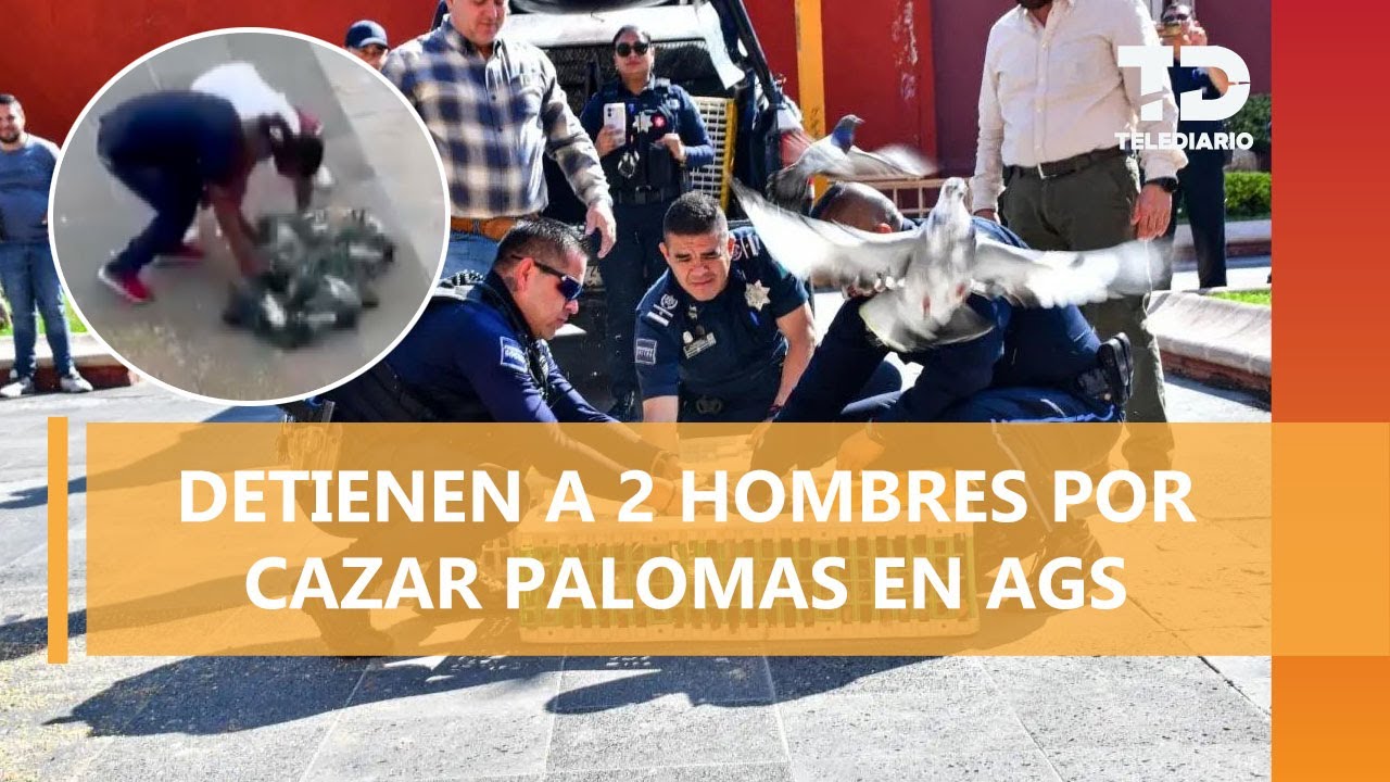 Detienen a dos hombres que cazaban palomas en el centro de Aguascalientes