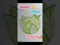 Simple Cabbage Drawing l how to a draw cabbage#howtodraw #green  #easybirddrawingforkids #drawing