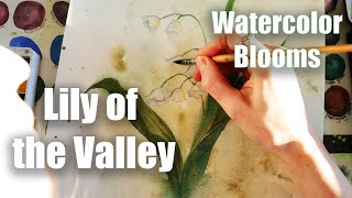 Watercolor Lily of the Valley - Watercolor Blooms Special Edition