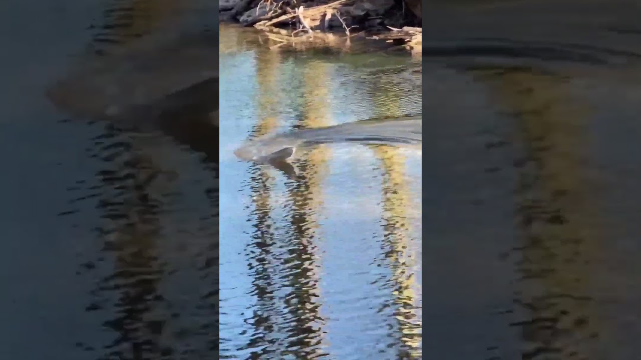 1:18 Scale MiniFJORDLING