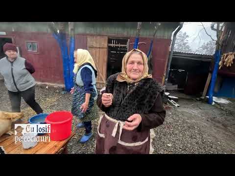 📍 TĂIATUL PORCULUI: acasă la lelea FLOAREA COSMI (87 de ani) din RUNCU SALVEI, jud. BN ( 🆕 2024 )