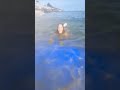 Nude Open Boobs Pussy Bathing
