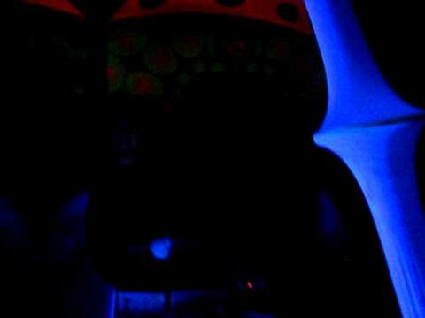 Lisergik brain psy lobster