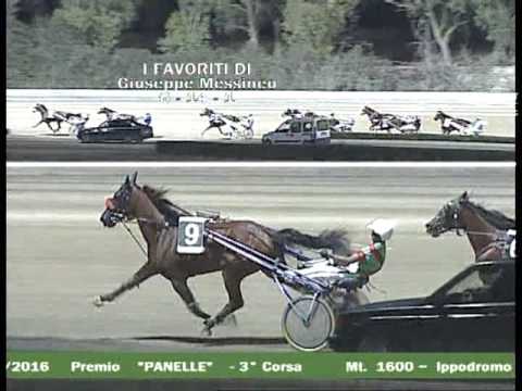 CORSA 3 del 22 LUGLIO 2016