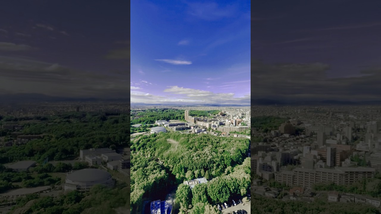 YouTube Short thumbnail