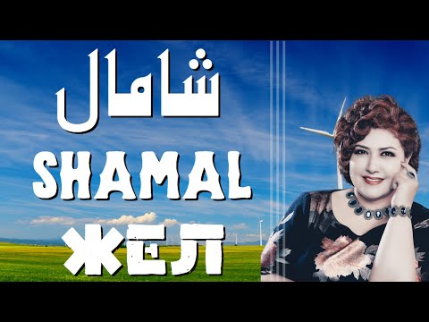 Shamal - Dilbar Ababekri | شامال | Uyghur Naxsha | біздің ән | Уйгурская песня | Uyghur Song