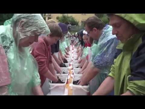 700 Years of Bad Freienwalde - Historical Parade - Guinness World Record - Moor Festival - Summary