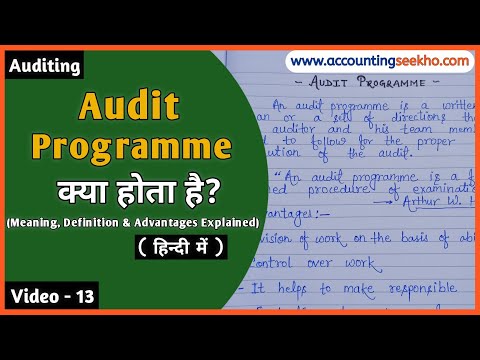 Audit Programme क्या होता है || Meaning Definition Advantages Of Audit Programme || हिन्दी में |