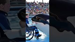 Download lagu Jessica is back #foryou #viralvideo mp3