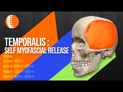 How can I myofascial release my temporalis muscle (jaw/TMJ)