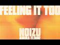 Noizu - Feeling It Too w/ Amira Eldine (Lyric Video)