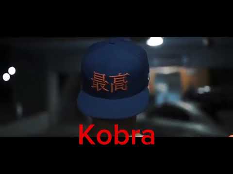 Unikkatil - DMC - kobra  lant (2023)?