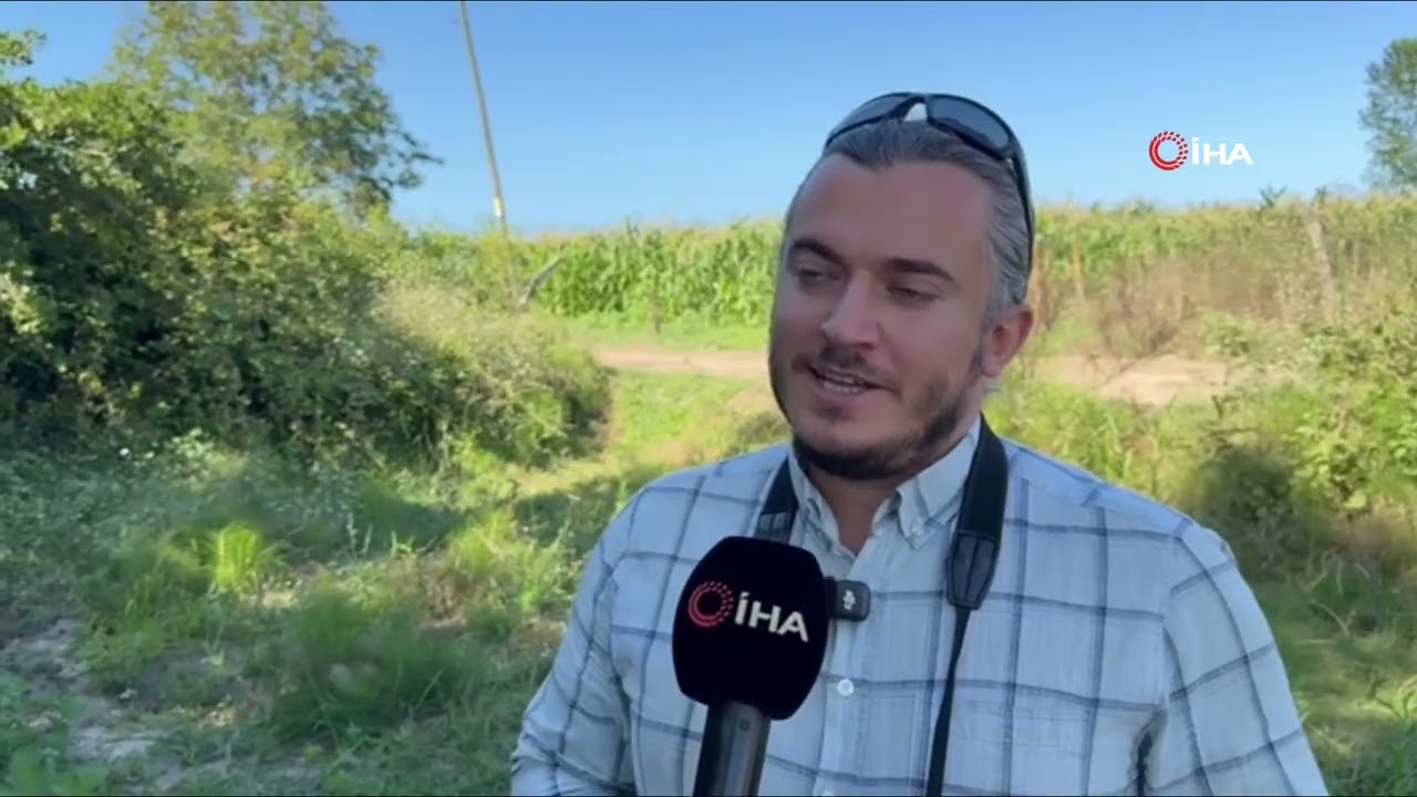 Doğanın gizli dünyasını fotokapanla görüntüledi
