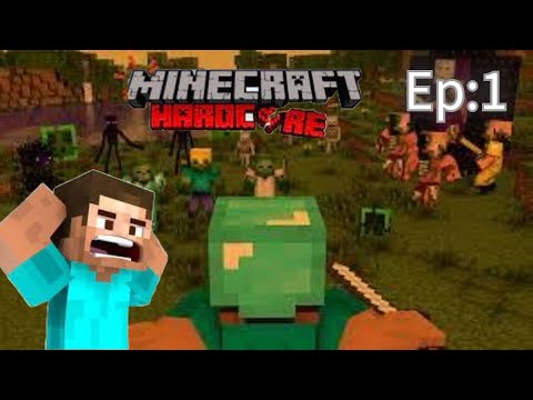 We build our house in Minecraft hardcore  || Minecraft Hardcore survival || FT: Mohib plays ||.