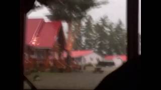 faze tari fulgera in copac