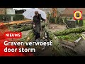 Ravage op begraafplaats door omgewaaide boom | Omroep Brabant