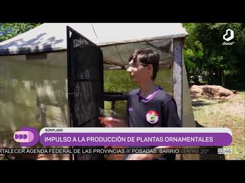 #DestacadosDelDia: Estudiantes del IEA N°1 de Bonpland cultivan bajo tierra