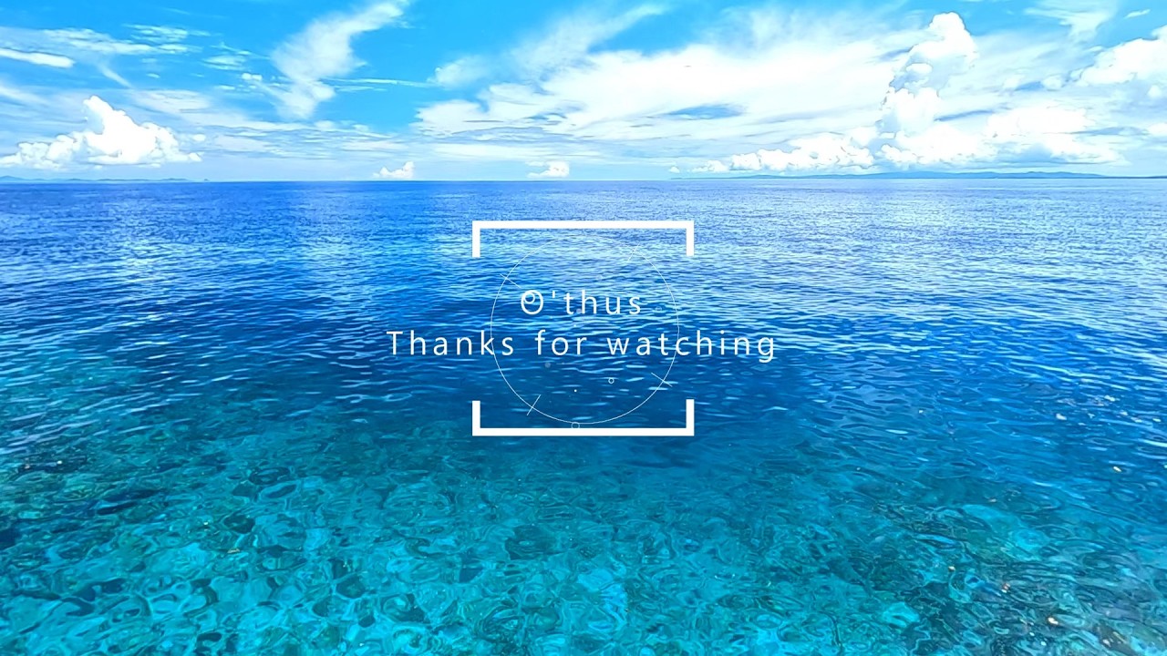 『何もしないための海』優しい海音で癒される