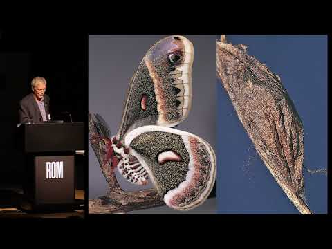 Hess Entomology Lecture   Exploring the Diversity of Insects